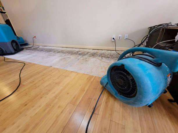 Professional Sewage Cleanup technician working in Chesterhill, OH